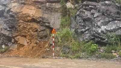 Cat Ba Island cross-road traffic returns to normal