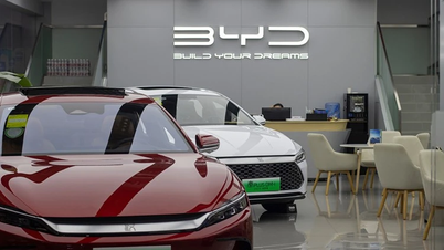 BYD, 3년 만에 "힘 빠지다"…2025년 2분기 이익 30% 가까이 급락