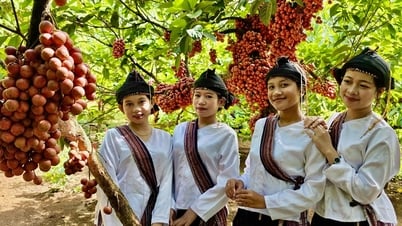 반호아 레드 가든은 방문객을 끌어들입니다