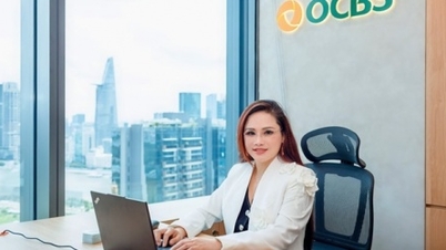 Domnișoara Businesswoman părăsește funcția de director general adjunct al OCBS după 4 luni