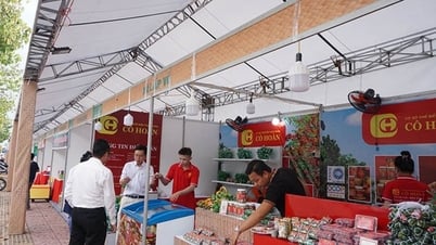 Dong Thap: Živý přenos prodeje produktů OCOP a propojení spotřebitelských trhů