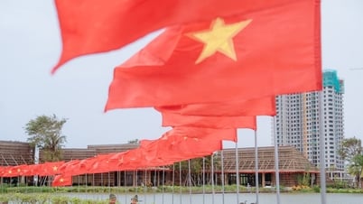 ຖະໜົນ Nghe An ແມ່ນສົດໃສດ້ວຍທຸງ, ດອກໄມ້ໃນວັນປະກາດເອກະລາດ