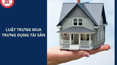 Gewährleistung der Interessenharmonie zwischen Staat und Bevölkerung beim Erwerb und der Beschlagnahme von Immobilien