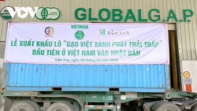 Gạo Việt khơi nguồn cảm hứng cho sản xuất nông nghiệp trong kỷ nguyên mới