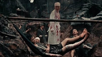«Червоний дощ» досяг 400 мільярдів донгів доходу