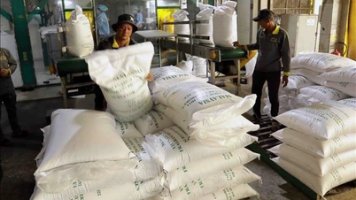 Mercado agrícola: Vietnã exportou quase 5,9 milhões de toneladas de arroz