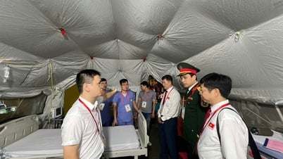 パレードや行進中に1,315人が治療され、緊急援助を受ける必要があった。