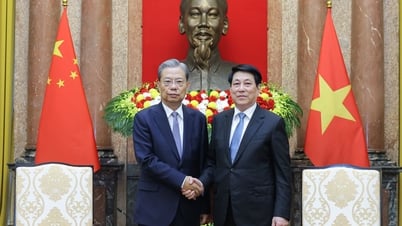 Chủ tịch nước Lương Cường tiếp Ủy viên trưởng Nhân đại toàn quốc Trung Quốc
