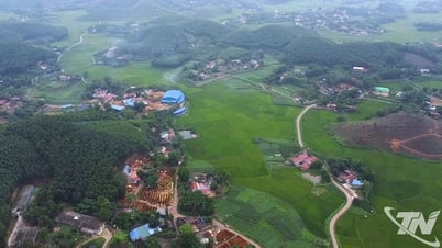 Từ nông nghiệp công nghệ cao đến nông nghiệp xanh bền vững
