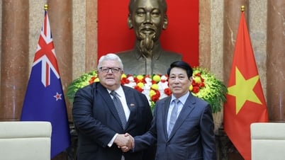 President Luong Cuong receives Speaker of New Zealand Parliament