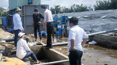 Bãi rác An Hiệp (Vĩnh Long): Tiếp nhận rác thải của TP Bến Tre và huyện Châu Thành trước đây