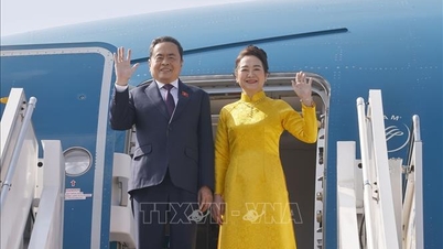 トラン・タン・マン国会議長は、第46回AIPA総会への出席とマレーシア訪問の出張を無事に終えた。