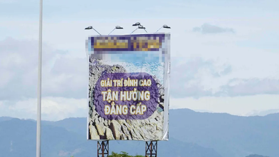 Na trase spojující Nha Trang a Cam Ranh „raší“ billboardy se sázkami