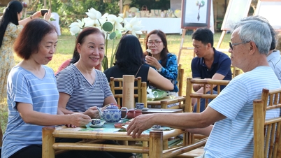 Der Tourismus in Hue ist voller Aktivitäten zum Jahresende