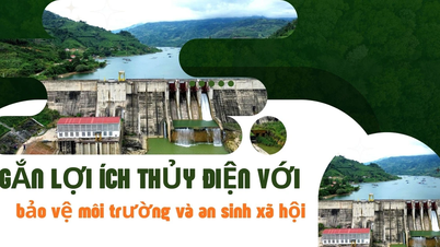 Gắn lợi ích thủy điện với bảo vệ môi trường và an sinh xã hội