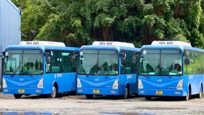 Sinh viên TPHCM bớt “khủng hoảng” đi lại nhờ tuyến xe buýt mới