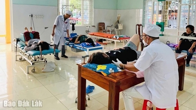 Và niềm vui trở lại...