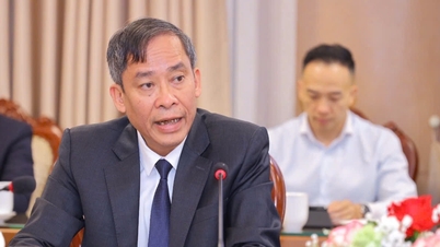 Vụ học sinh túm tóc, ấn đầu cô giáo: Bộ GD-ĐT chỉ đạo khẩn