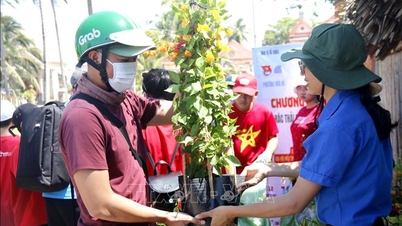 Despertar el espíritu de acción ambiental en toda la sociedad
