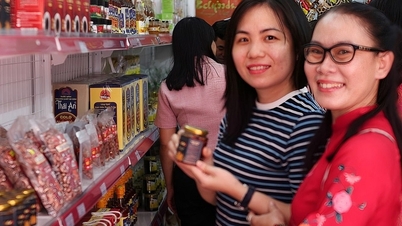 Gia Lai មានចំណុចលក់ផលិតផល OCOP មួយផ្សេងទៀតនៅក្នុងមជ្ឈមណ្ឌល Quy Nhon