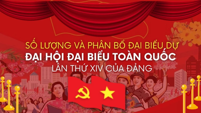 [Infographic] ចំនួន និងការបែងចែកប្រតិភូចូលរួមមហាសន្និបាតបក្សលើកទី១៤