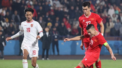Wietnam i Indonezja spadają w rankingach FIFA