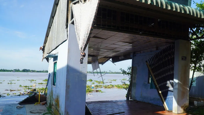 Tanah runtuh di tebing Sungai Tien (Dong Thap): 6 rumah rosak