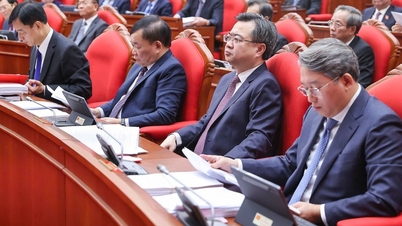 Bộ Chính trị quy định “trường hợp đặc thù khi bổ nhiệm, giới thiệu ứng cử”