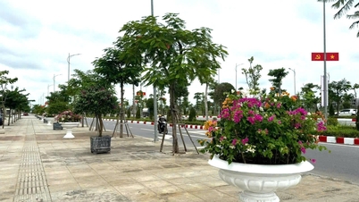 Decorating more than 300 flower pots on Do Muoi Street to serve the City Party Congress