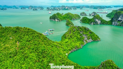 Vẻ đẹp của vịnh Hạ Long được 3 lần UNESCO công nhận là di sản