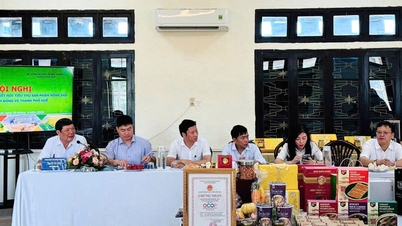 Kết nối tiêu thụ nông sản giữa Lâm Đồng và TP. Huế