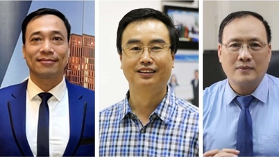 9 vietnamesische Wissenschaftler unter den 10.000 einflussreichsten Wissenschaftlern der Welt im Jahr 2025