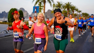 Hành trình qua miền Di sản: Sức hút mới của marathon Việt Nam