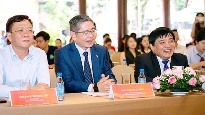 Singapur'da Vietnam Pho Festivali'ni beklerken