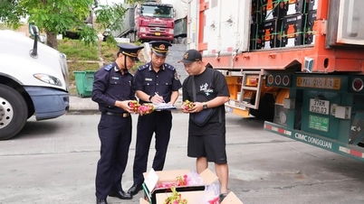 Tăng hiệu quả quản lý hải quan từ đường dây nóng hỗ trợ người dân, doanh nghiệp
