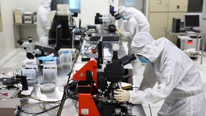 Kerajaan mengeluarkan mekanisme dan dasar khas untuk menarik pakar dalam sains, teknologi, inovasi dan transformasi digital.