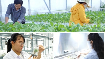Tạo đột phá trong sản xuất nông nghiệp