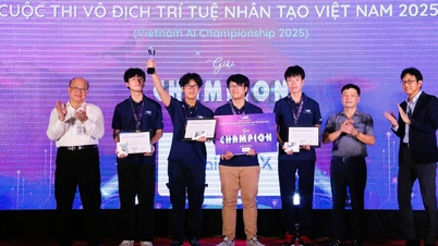 Des étudiants de Hanoï remportent le Championnat d'intelligence artificielle du Vietnam 2025