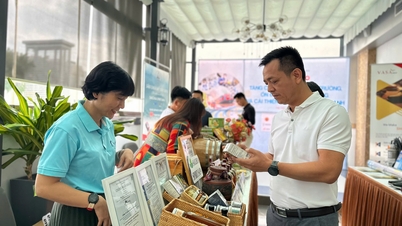 Promoting Vietnamese goods: Driving force from digital transformation in logistics and e-commerce