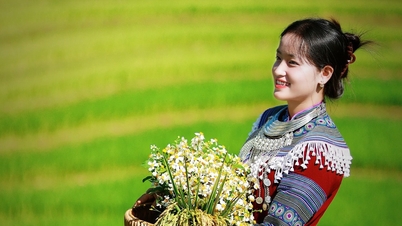អ្នក​ទេសចរ​សម្រុក​ទៅ​បរបាញ់​ស្រូវ​ទុំ​នៅ​ក្រុង Mu Cang Chai ៤០ នាទី​ក្នុង​ការ​ធ្វើ​ដំណើរ ១ គីឡូម៉ែត្រ