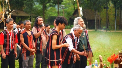 Góp sức bảo tồn văn hóa Cơ Tu