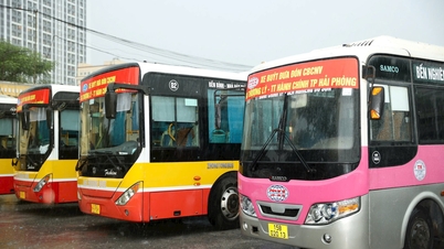 Arrange cars to transport civil servants, public employees and workers from the train station to the workplace and vice versa