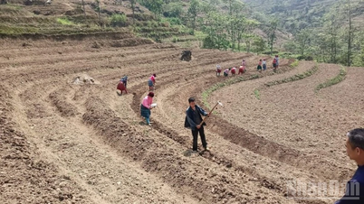 Cao Bang: Behov av att undanröja hinder för att bevilja växande riktnummer till produktionsenheter
