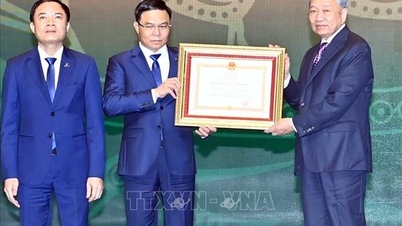Sekretaris Jenderal menghadiri peringatan 50 tahun berdirinya Grup Industri dan Energi Nasional Vietnam
