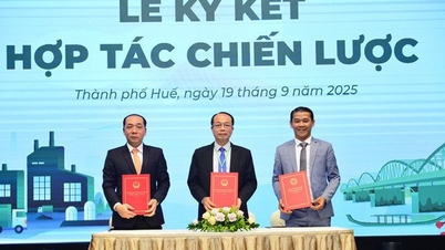تتعاون مدينة هوي ومجموعة FUTA وشركة كيم لونج موتور لبناء منطقة حضرية صناعية وتراثية حديثة