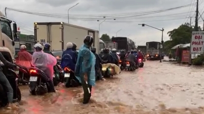 Đồng Nai: Cảnh báo ngập lụt do mưa lớn