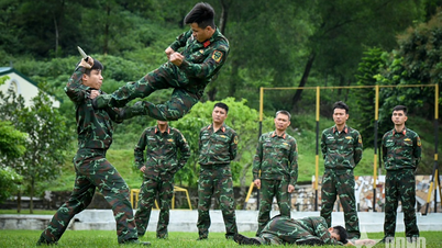 “หน่วยเหล็ก” ใน “ดินแดนแห่งไฟ”