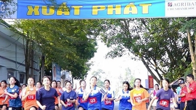 អត្តពលិកជាង 400 នាក់បានចូលរួមការប្រកួតវគ្គផ្តាច់ព្រ័ត្រនៃព្រឹត្តិការណ៍រត់ប្រណាំងកាសែត Hanoi Moi លើកទី 50 នៅឃុំ Kim Anh