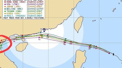 7 stații meteorologice internaționale anunță intrarea furtunii Ragasa în Vietnam