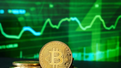 世界をリードする暗号通貨は、FRBの金利決定に対して驚くほど無関心だ。